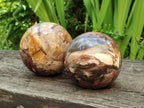 Polished Red Podocarpus Petrified Wood Spheres x 2 From Mahajanga, Madagascar