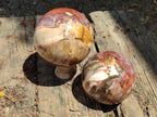 Polished Red Podocarpus Petrified Wood Spheres x 2 From Mahajanga, Madagascar