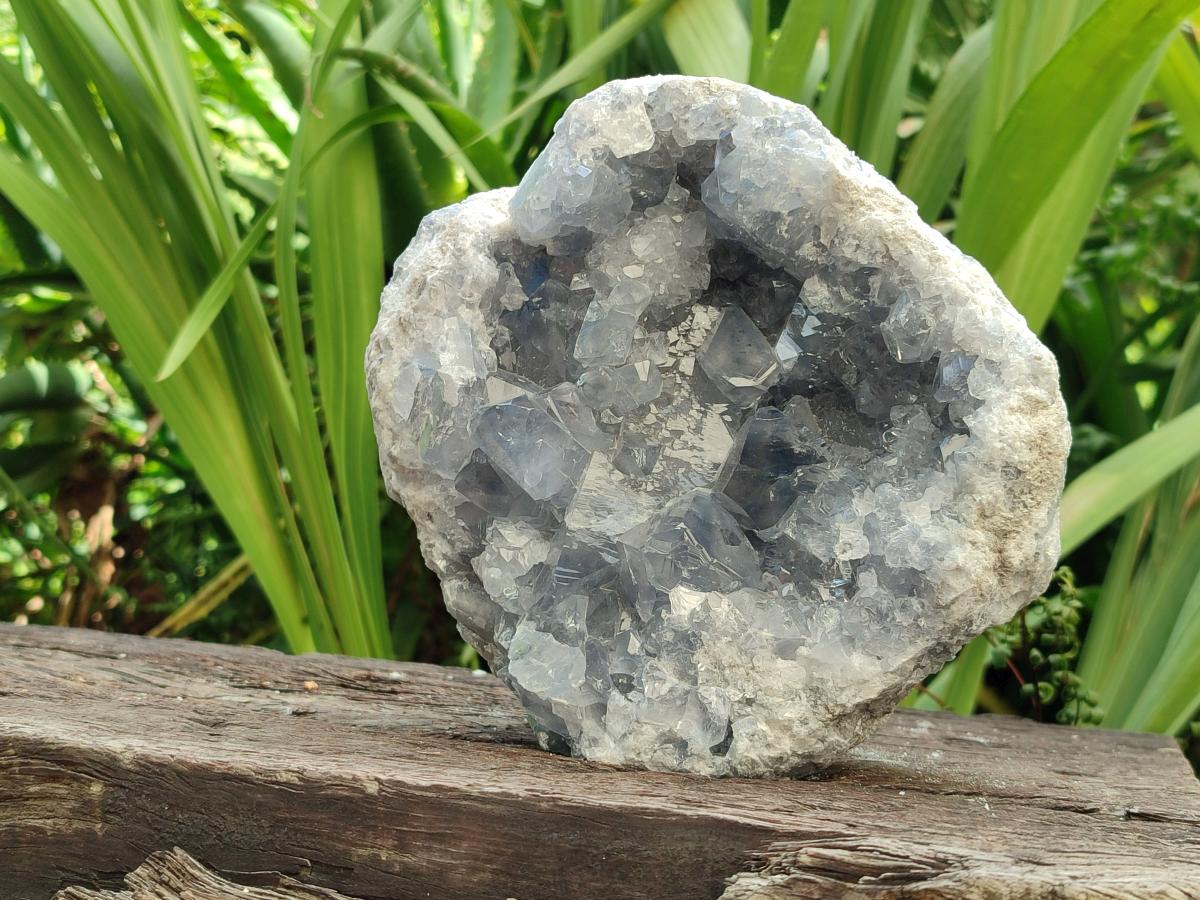 Natural Large Blue Celestite Cluster Specimen x 1 From Sakoany, Madagascar