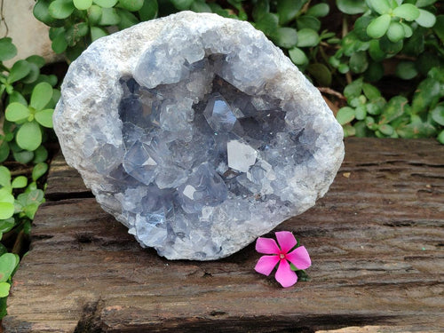 Natural Large Blue Celestite Cluster Specimen x 1 From Sakoany, Madagascar