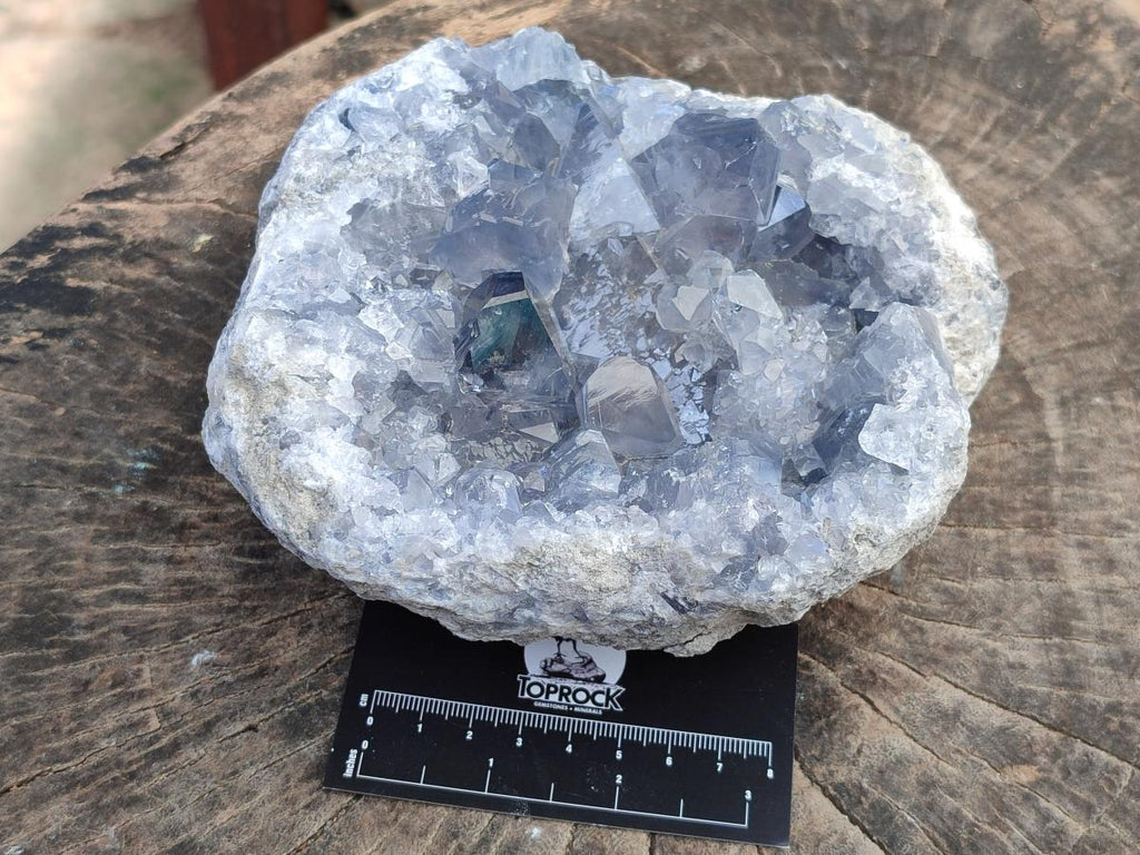 Natural Large Blue Celestite Cluster Specimen x 1 From Sakoany, Madagascar