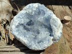 Natural Large Blue Celestite Cluster Specimen x 1 From Sakoany, Madagascar