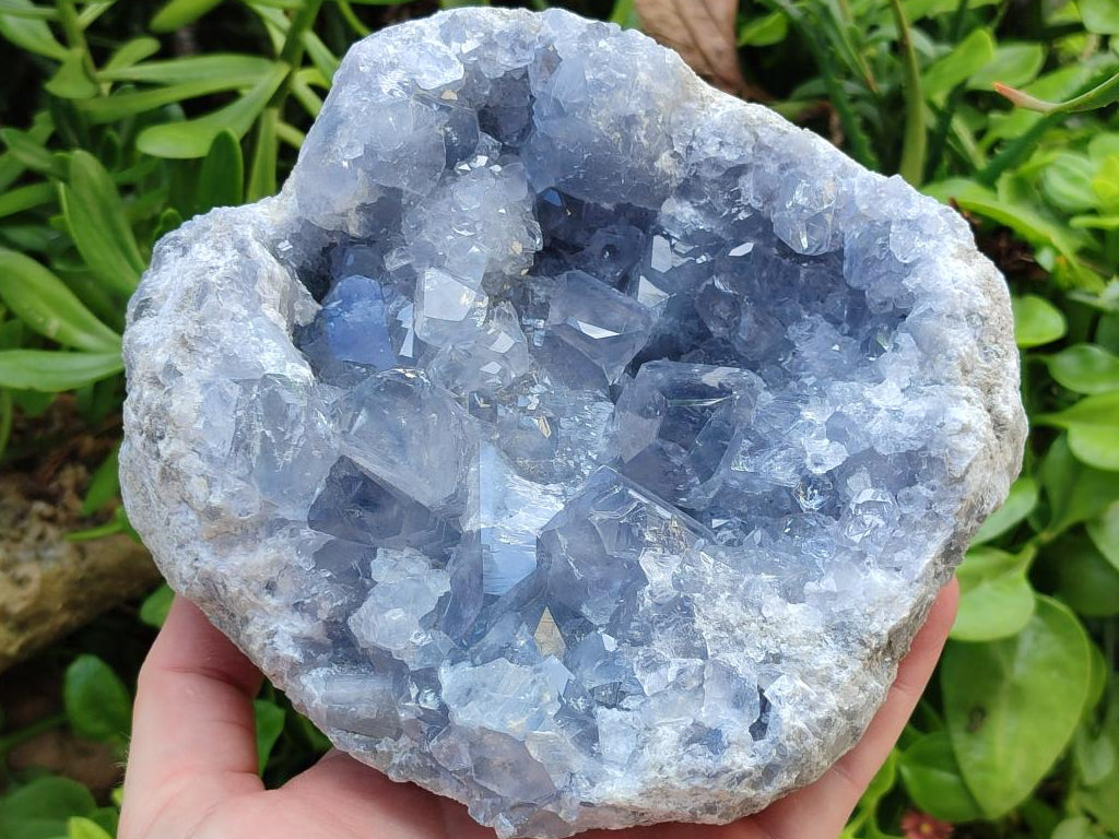 Natural Large Blue Celestite Cluster Specimen x 1 From Sakoany, Madagascar
