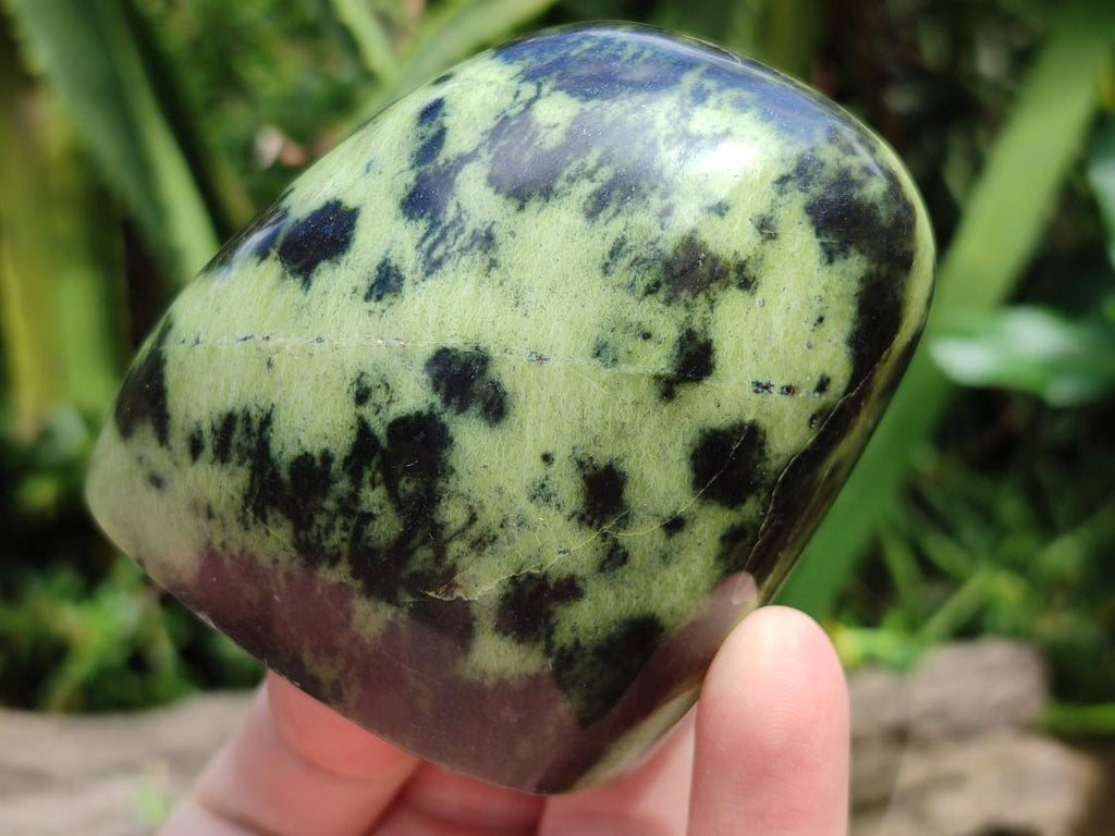 Polished Leopard Standing Free Forms x 6 From Zimbabwe
