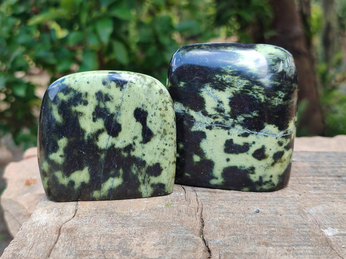 Polished Leopard Standing Free Forms x 6 From Zimbabwe