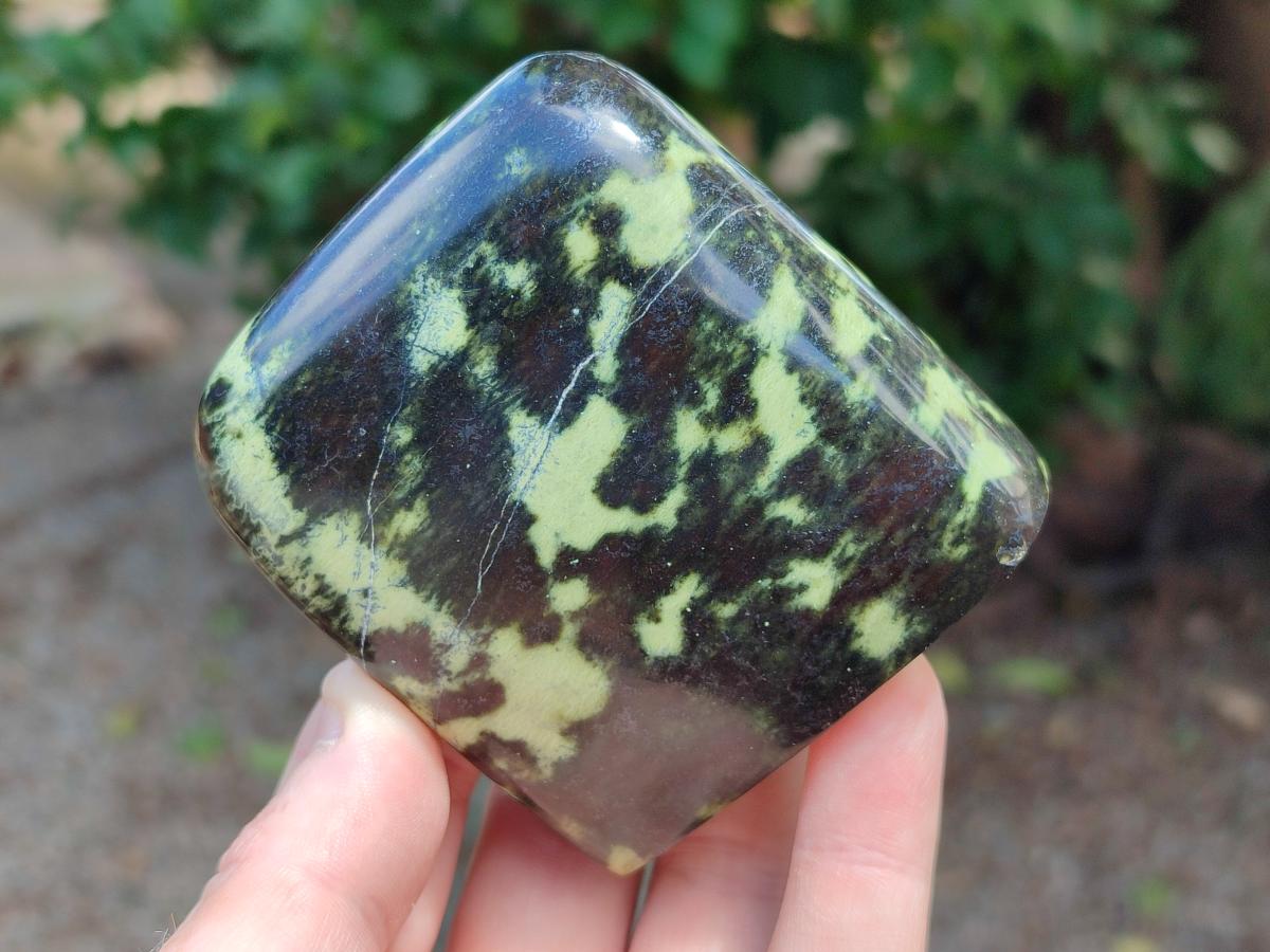 Polished Leopard Standing Free Forms x 6 From Zimbabwe