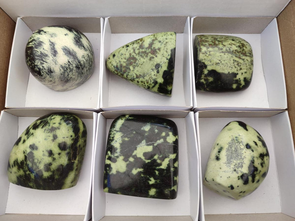 Polished Leopard Standing Free Forms x 6 From Zimbabwe