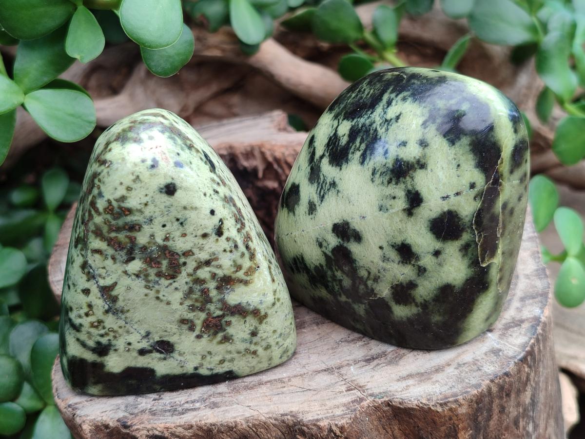 Polished Leopard Standing Free Forms x 6 From Zimbabwe