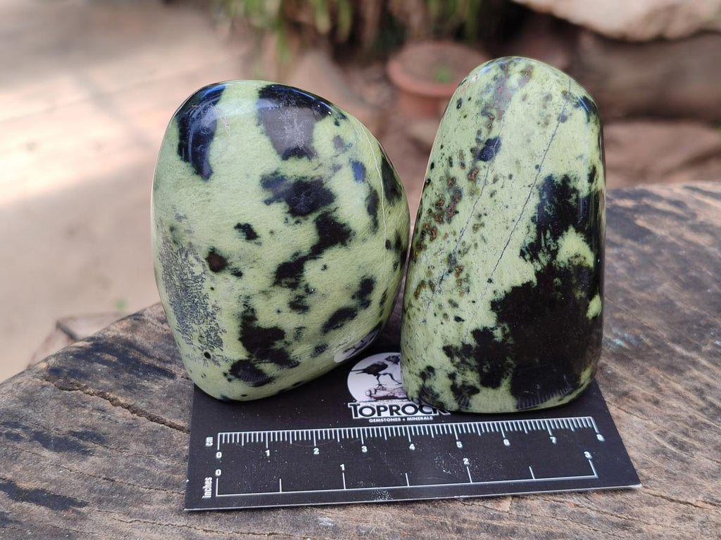 Polished Leopard Standing Free Forms x 6 From Zimbabwe