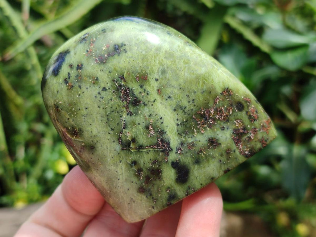 Polished Leopard Standing Free Forms x 6 From Zimbabwe