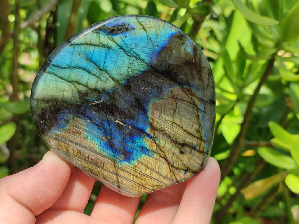 Polished Labradorite Standing Free Forms x 6 From Madagascar