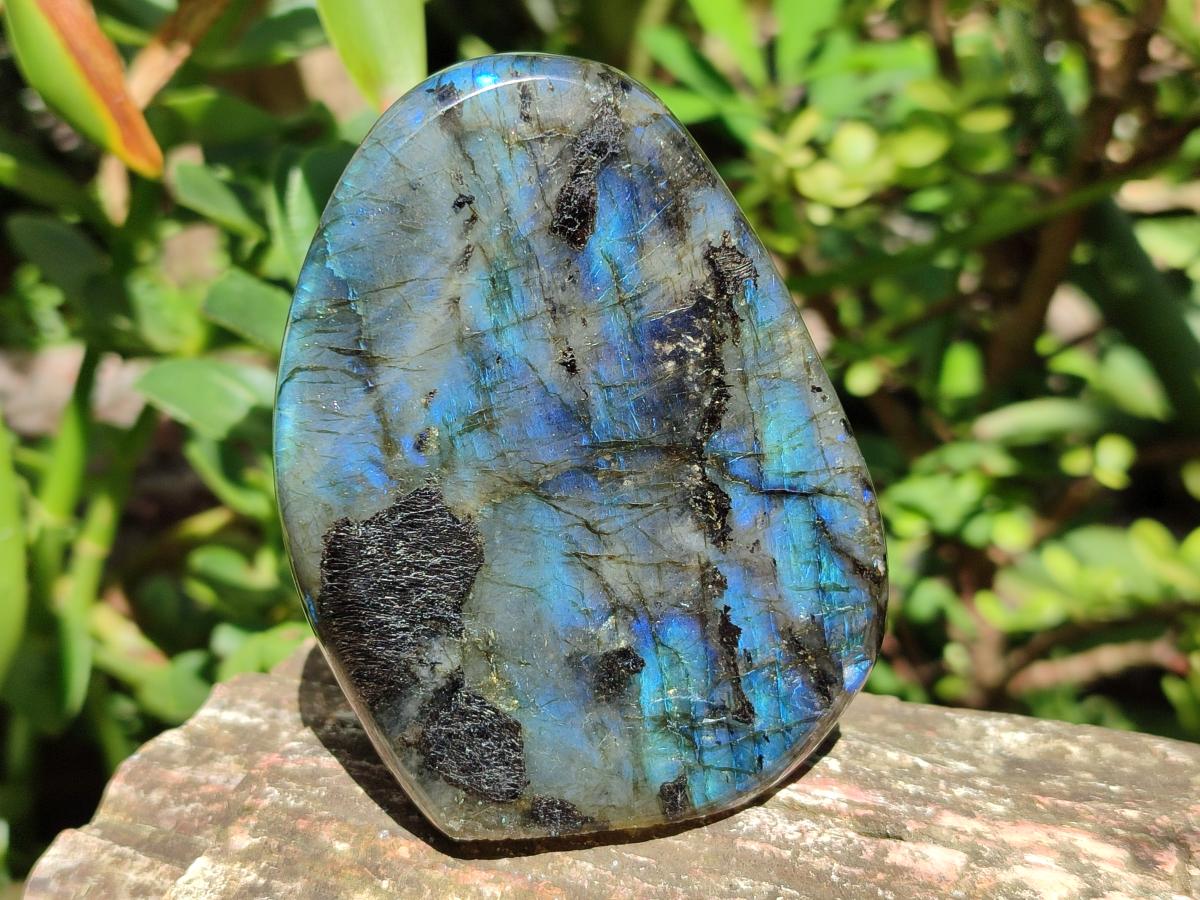 Polished Labradorite Standing Free Forms x 6 From Madagascar