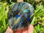 Polished Labradorite Standing Free Forms x 6 From Madagascar
