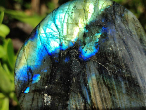 Polished Labradorite Standing Free Forms x 6 From Madagascar