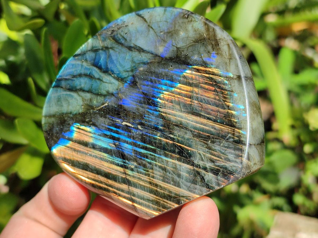Polished Labradorite Standing Free Forms x 6 From Madagascar