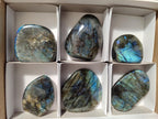 Polished Labradorite Standing Free Forms x 6 From Madagascar