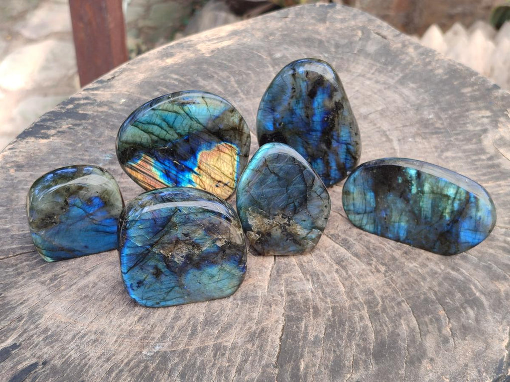 Polished Labradorite Standing Free Forms x 6 From Madagascar