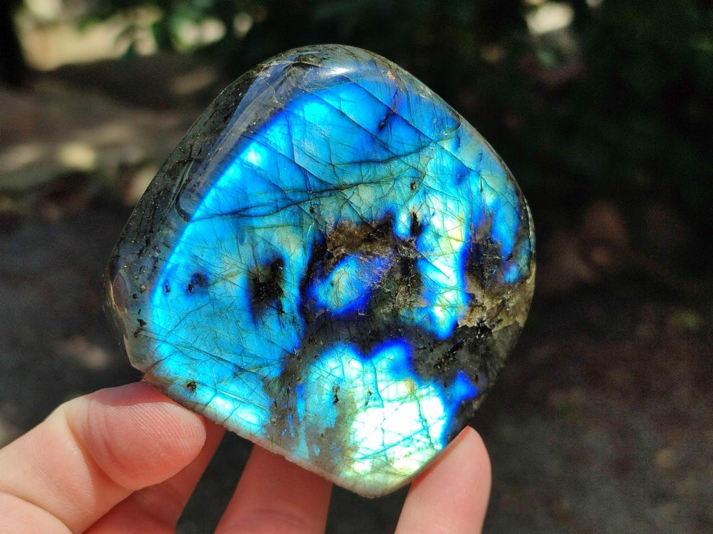 Polished Labradorite Standing Free Forms x 6 From Madagascar