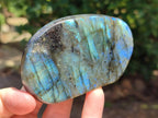 Polished Labradorite Standing Free Forms x 6 From Madagascar