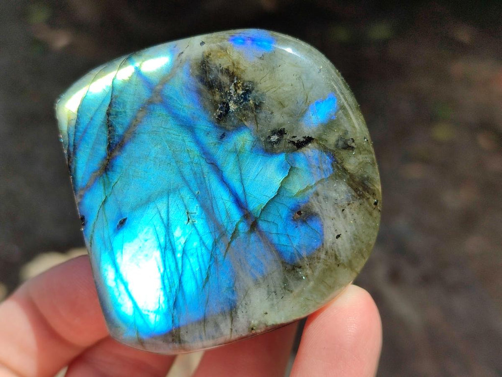 Polished Labradorite Standing Free Forms x 6 From Madagascar