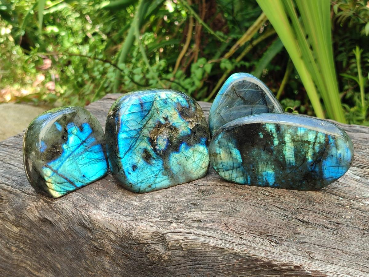 Polished Labradorite Standing Free Forms x 6 From Madagascar