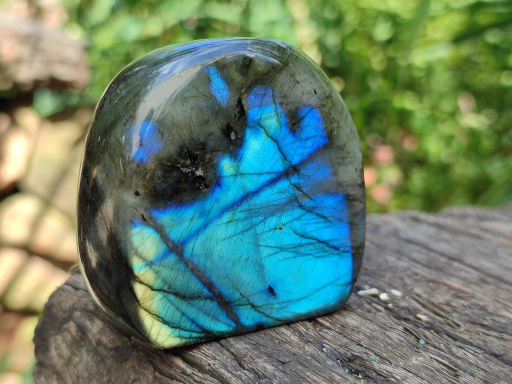 Polished Labradorite Standing Free Forms x 6 From Madagascar