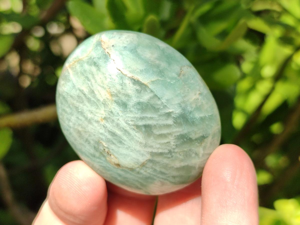 Polished Amazonite Palm Stones x 35 From Madagascar