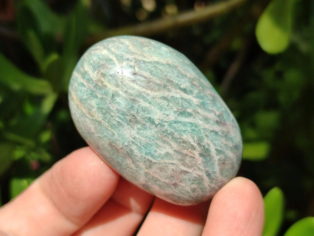 Polished Amazonite Palm Stones x 35 From Madagascar