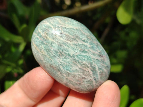 Polished Amazonite Palm Stones x 35 From Madagascar