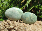 Polished Amazonite Palm Stones x 35 From Madagascar