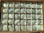 Polished Amazonite Palm Stones x 35 From Madagascar