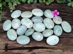 Polished Amazonite Palm Stones x 35 From Madagascar