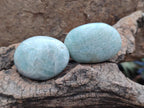 Polished Amazonite Palm Stones x 35 From Madagascar