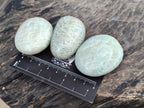 Polished Amazonite Palm Stones x 35 From Madagascar