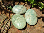 Polished Amazonite Palm Stones x 35 From Madagascar