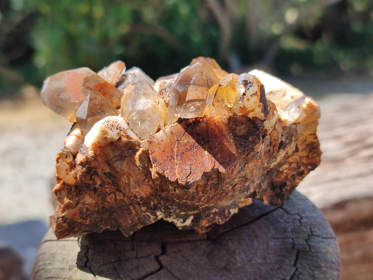 Natural Smokey Quartz Clusters with Associated Minerals x 4 From Zomba Plateau, Malawi