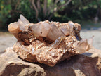 Natural Smokey Quartz Clusters with Associated Minerals x 4 From Zomba Plateau, Malawi