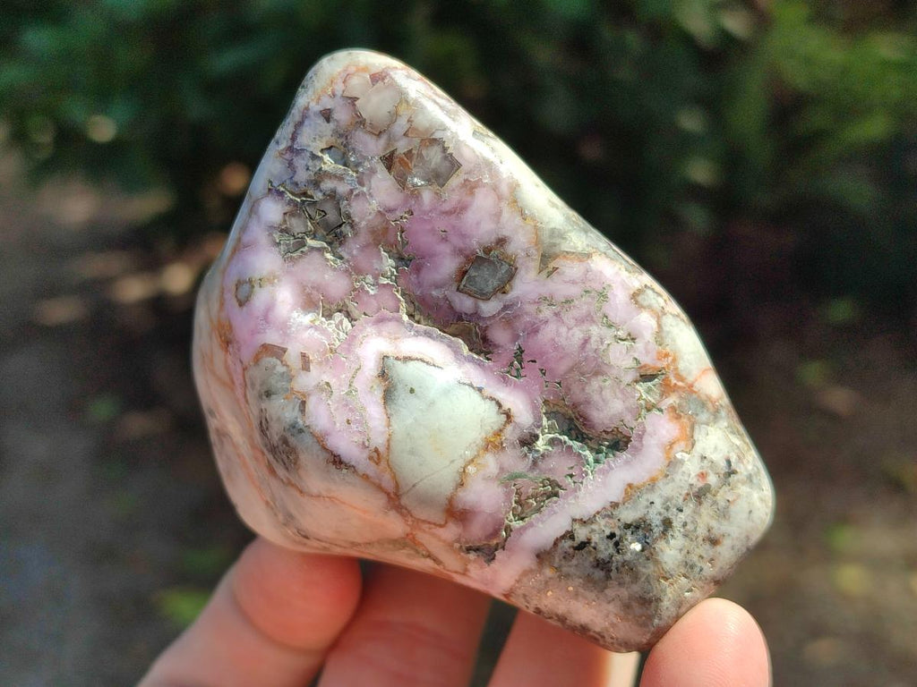 Polished Cobaltion Calcite in Dolomite Free Forms x 6 From Kakanda, Congo