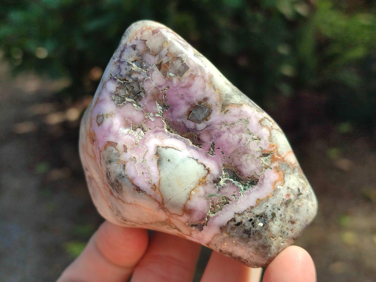 Polished Cobaltion Calcite in Dolomite Free Forms x 6 From Kakanda, Congo