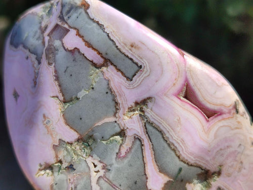 Polished Cobaltion Calcite in Dolomite Free Forms x 6 From Kakanda, Congo