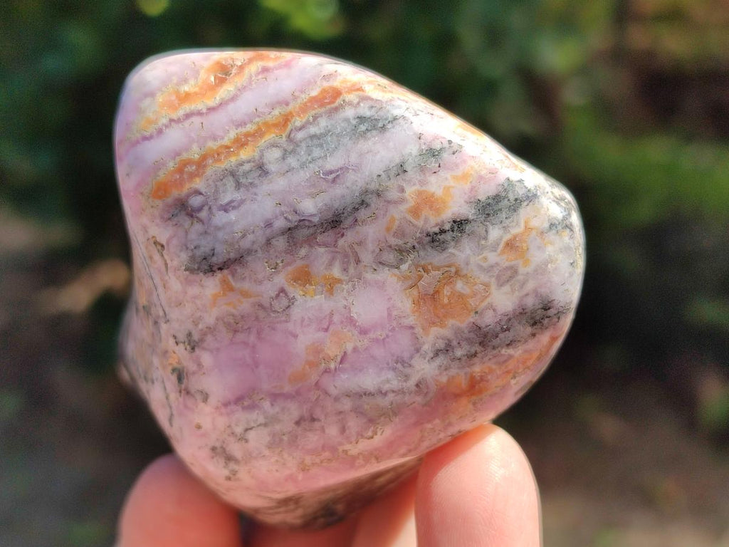 Polished Cobaltion Calcite in Dolomite Free Forms x 6 From Kakanda, Congo