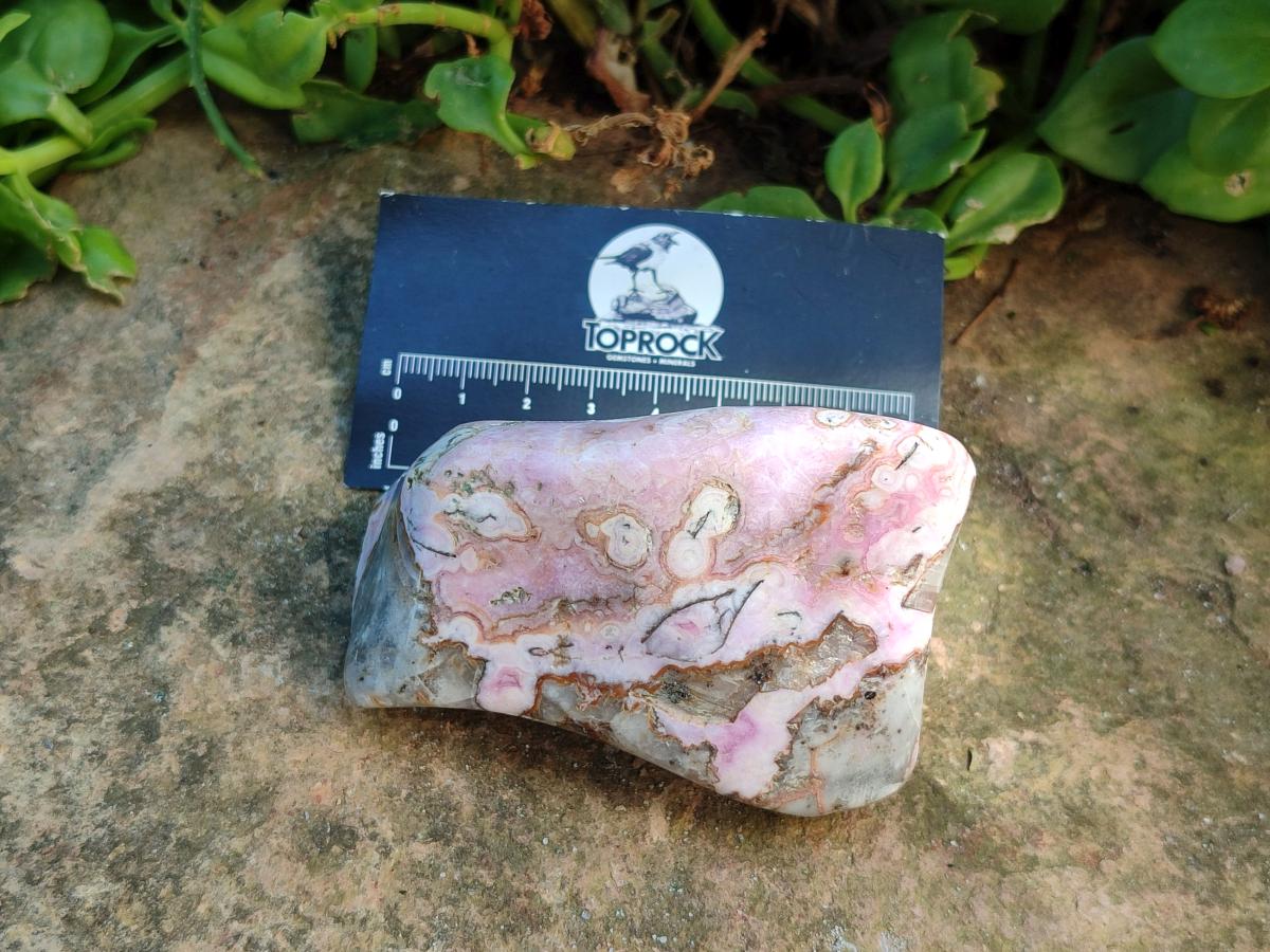 Polished Cobaltion Calcite in Dolomite Free Forms x 6 From Kakanda, Congo