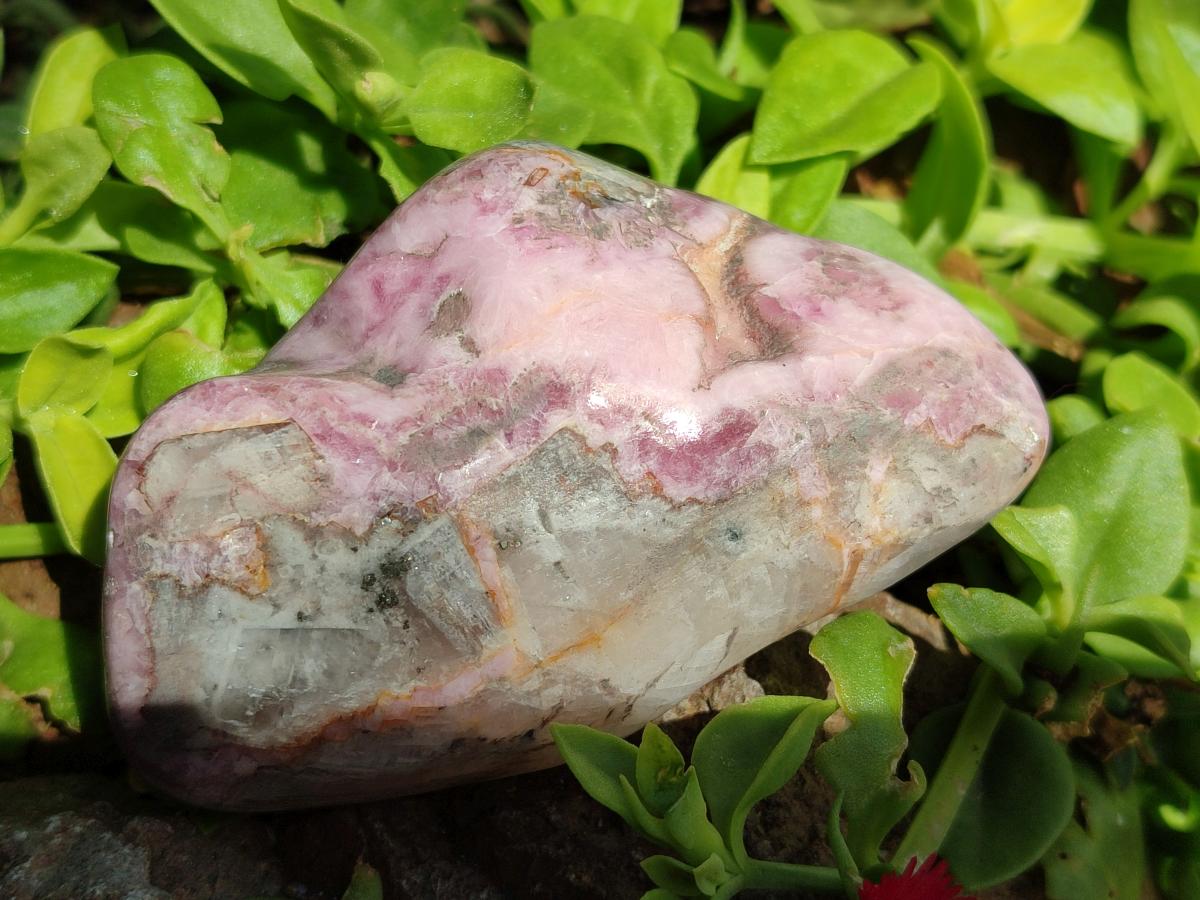 Polished Cobaltion Calcite in Dolomite Free Forms x 6 From Kakanda, Congo