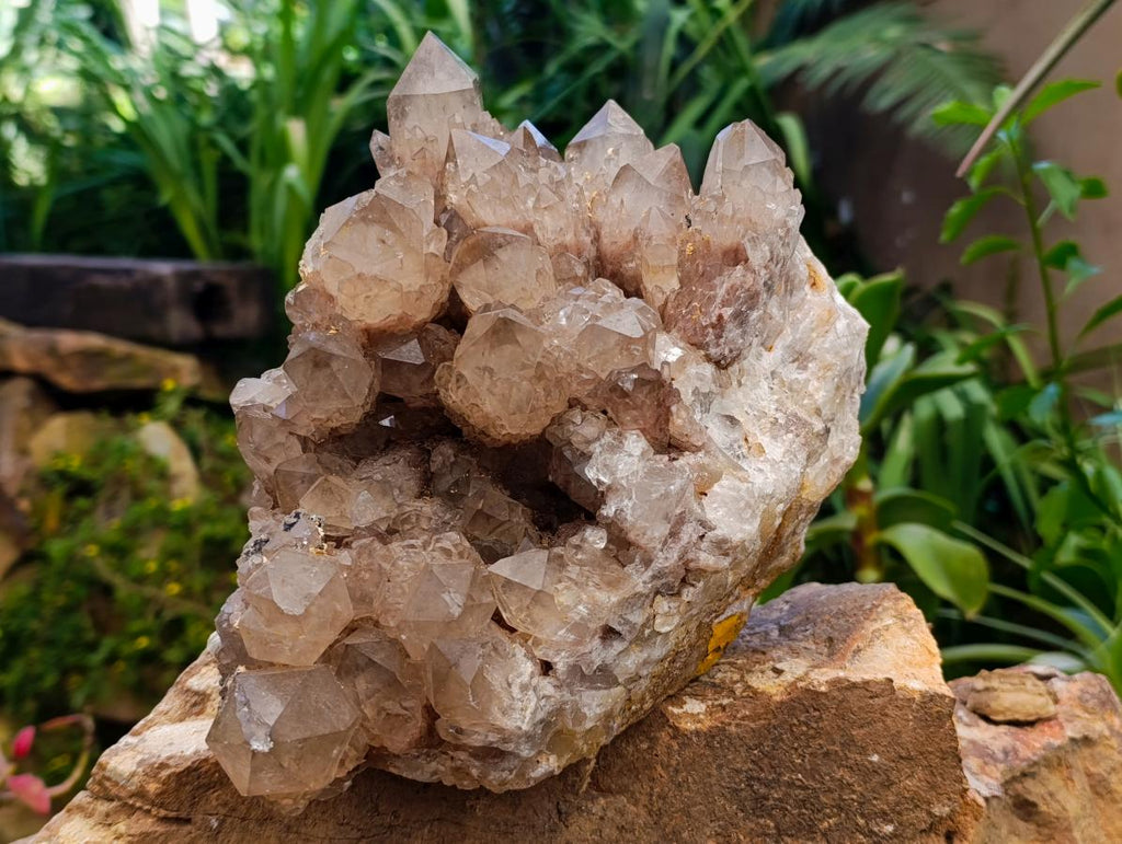 Natural XL White Phantom Cascading Smokey Luena Quartz Cluster x 1 From Luena, Congo