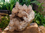 Natural XL White Phantom Cascading Smokey Luena Quartz Cluster x 1 From Luena, Congo