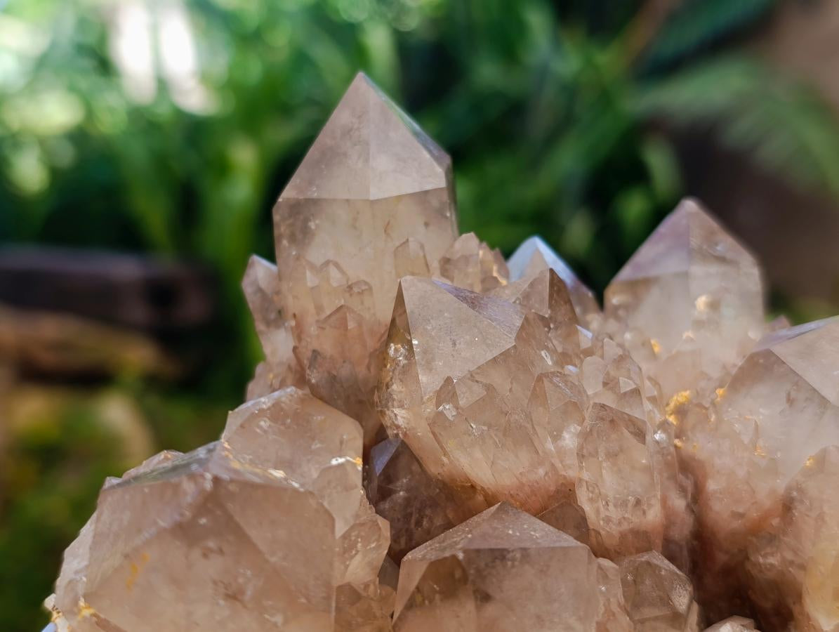 Natural XL White Phantom Cascading Smokey Luena Quartz Cluster x 1 From Luena, Congo