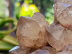 Natural XL White Phantom Cascading Smokey Luena Quartz Cluster x 1 From Luena, Congo
