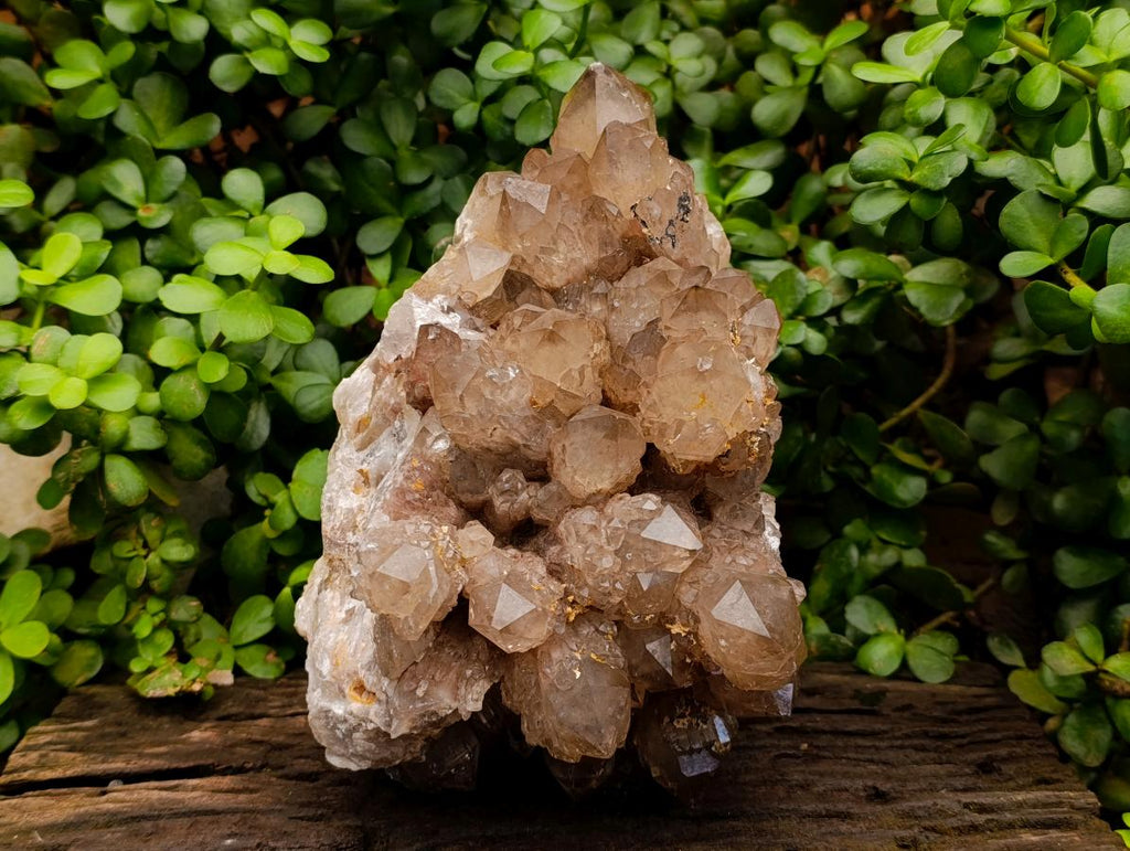 Natural XL White Phantom Cascading Smokey Luena Quartz Cluster x 1 From Luena, Congo