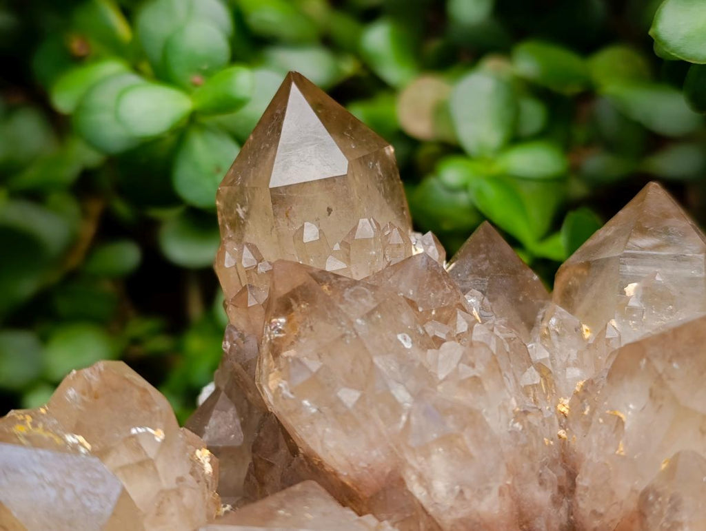 Natural XL White Phantom Cascading Smokey Luena Quartz Cluster x 1 From Luena, Congo