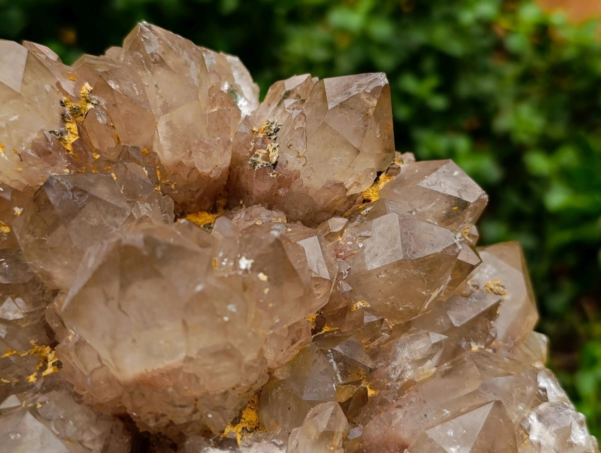 Natural XL White Phantom Cascading Smokey Luena Quartz Cluster x 1 From Luena, Congo